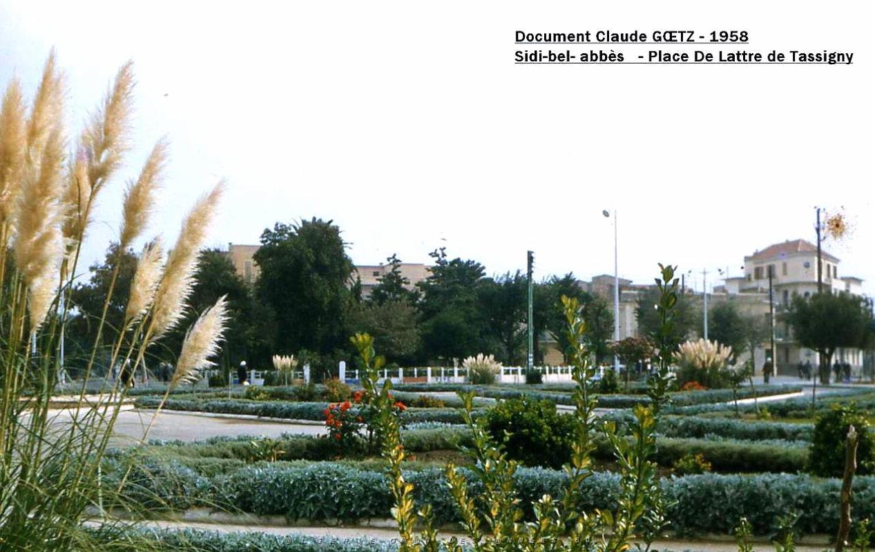 Sidi bel abbes 349.jpg
